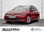 VW Golf Variant, 1.0 TSI Life APP, Jahr 2022 - Neu Ulm