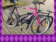 GIANT Mountainbike 26Zoll RH44 lila violett - fahrbereit - Karlsruhe