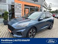 Ford Kuga, 2.5 ST-Line X, Jahr 2020 - Frankenthal (Pfalz)