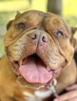 Lindi ❤️ist ganz cool und superlieb - Hamburg