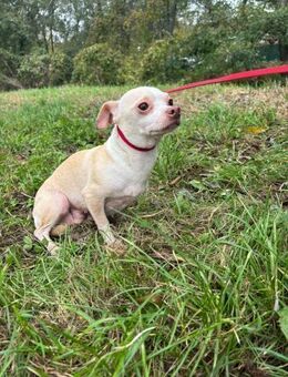 150551 - jetzt beginnt alles neu - Overath