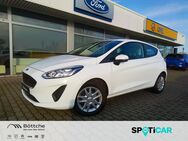 Ford Fiesta, 1.1 Ti-VCT, Jahr 2020 - Schönebeck (Elbe)