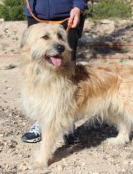 PolizeihundPablo mit Lebensfreude - Jade