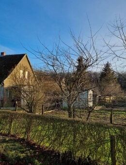 Doppelhaushälfte mit Nebengebäude - Wittenhagen