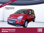 Fiat Panda, 1.0 Hybrid KOMFORT PAKET, Jahr 2024 - Siegen (Universitätsstadt)