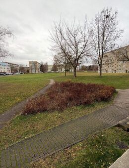 **frisch sanierte 2 Zimmer Wohnung im EG mit Dusche ** - Plauen