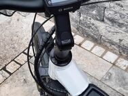 Falter E-Bike - Leverkusen