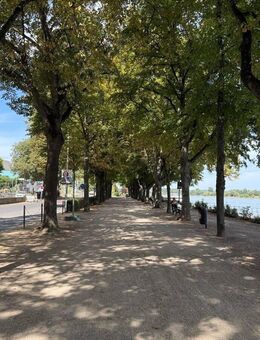 BONN Zentrum, tolle 3,5 Zi. Maisonnette-Whg, 93 m² Wfl. im 4 Part. Haus ca. 100 m vom Rhein, Balkon - Bonn