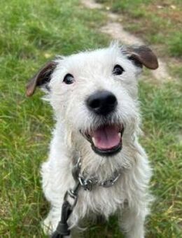 Klein, aber 100 % OHO - Bad Belzig