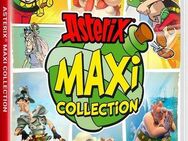 Asterix Maxi Collection - Standard Edition Nintendo Switch