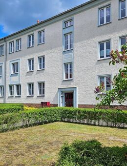 Komplett renovierte, helle 3-Raum-Wohnung im ruhigen Wohngebiet - Altdöbern