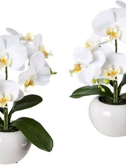 Kunstpflanze Orchidee, Creativ green, Höhe 35 cm, 2er Set