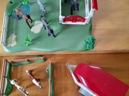 Playmobil Pferdeweide - Rheinstetten
