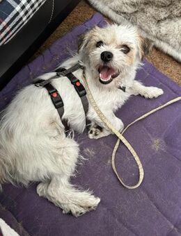 Super-Lotti ist genial - Berlin