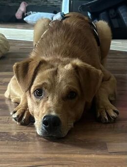 Espresso 🤎 - Kallmünz