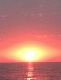 Suche weibliche Nähe – für schöne gemeinsame Momente - Essen