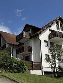Gepflegte 2-Zimmerwohnung in Ühlingen-Birkendorf - Ühlingen-Birkendorf