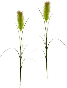 Kunstpflanze Pampas, I.GE.A., Höhe 125 cm, Pampasgras, Boho, 2er Set
