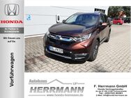 Honda CR-V, 2.0 e HEV i-MMD Hybrid Lifestyle, Jahr 2023 - Schwarzheide