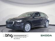 Skoda Scala, 1.0 TSI Selection, Jahr 2024 - Freudenstadt