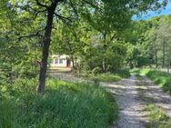 Idyllische, ruhige Fast-Alleinlage: Kernsanierungsbedürftiges, ehemaliges Mühlenanwesen mit baurechtlich genehmigter Erweiterungsmöglichkeit! - Haunetal
