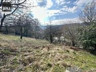 Sonniges Grundstück in natürlicher Umgebung vor den Toren Kulmbachs - Ködnitz