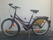 Kettler Alu Damenrad Windsor Edition - Augsburg