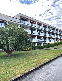 EG-Wohnung direkt am Möhnesee - Möhnesee