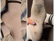 Du stehst auf richtig durchgeschwitzte Socken? 🔥👣 - Berlingerode