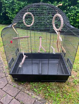 Vogelkäfig - Norderstedt
