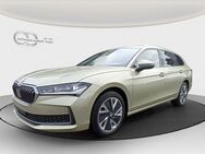 Skoda Superb, 2.0 TDI Combi Selection, Jahr 2024 - Werneuchen