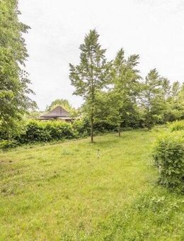 Familienwohnung / Balkon / Bad mit Fenster - Chemnitz