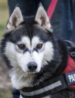 Magnus braucht Zeit und Geduld - Puchheim