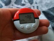 Pokewalker - Hoyerswerda