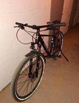 Mountainbike Conway 29 Zoll - Bad Nenndorf Zentrum