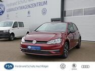 VW Golf, 1.5 TSI VII IQ DRIVE, Jahr 2019 - Rostock