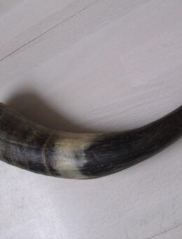 Jagd-Horn, Trinkhorn, Deko-Horn - Saarbrücken