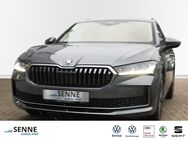 Skoda Superb, 2.0 TDI Combi, Jahr 2024 - Barsinghausen