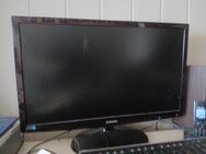 27 Zoll Monitor von Samsung S27B350 - Freiburg (Breisgau)