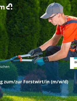 Ausbildung zum/zur Forstwirt/in (m/w/d) - Gudendorf