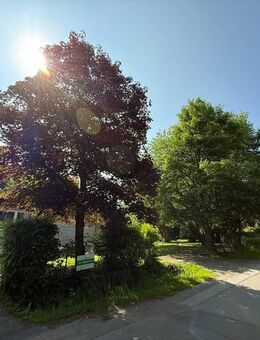 Bungalow in der Schwerzfelder Straße in Roetgen - Roetgen (Tor zur Eifel)