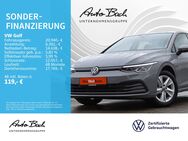 VW Golf, 1.0 TSI VIII Life, Jahr 2022 - Bad Homburg (Höhe)