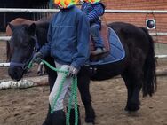 Führzügel Unterricht, geführte Reitstunde, Eltern - Kind und ein Pony - Oetzen