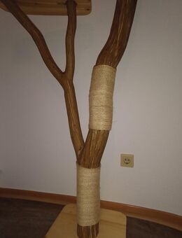 Kratzbaum Natur - Alfeld (Leine)