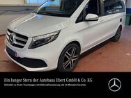 Mercedes V 250, Marco Polo Edition, Jahr 2020 - Weinheim