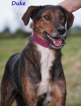 Duke- seelischer Notfall! 2/21 GRC - Ruppertsecken