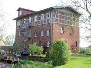 Historische Wassermühle aus dem Jahr 1265 in Melbeck - Melbeck