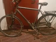 Kalkhoff Herren Fahrrad Trekkingbike 28 Zoll grau DEFEKT;Schwalbe Reifen fast NEU!!! - Osnabrück Zentrum