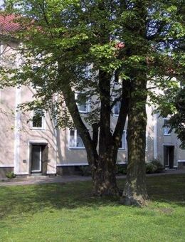 Renovierte 3-Zimmer-Erdgeschosswohnung mit Balkon und Tageslichtbad - Osnabrück