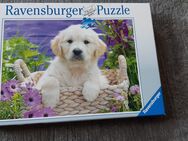 Hundepuzzle 500 Teile - Neu Ulm